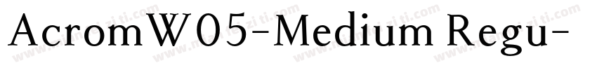 AcromW05-Medium Regu字体转换